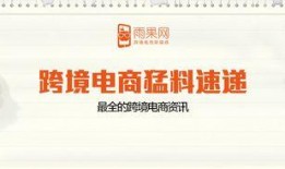 最新跨境电商爆料,揭秘最新爆料背后的行业变革